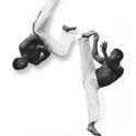 Capoeira_sq_img2_124.jpg